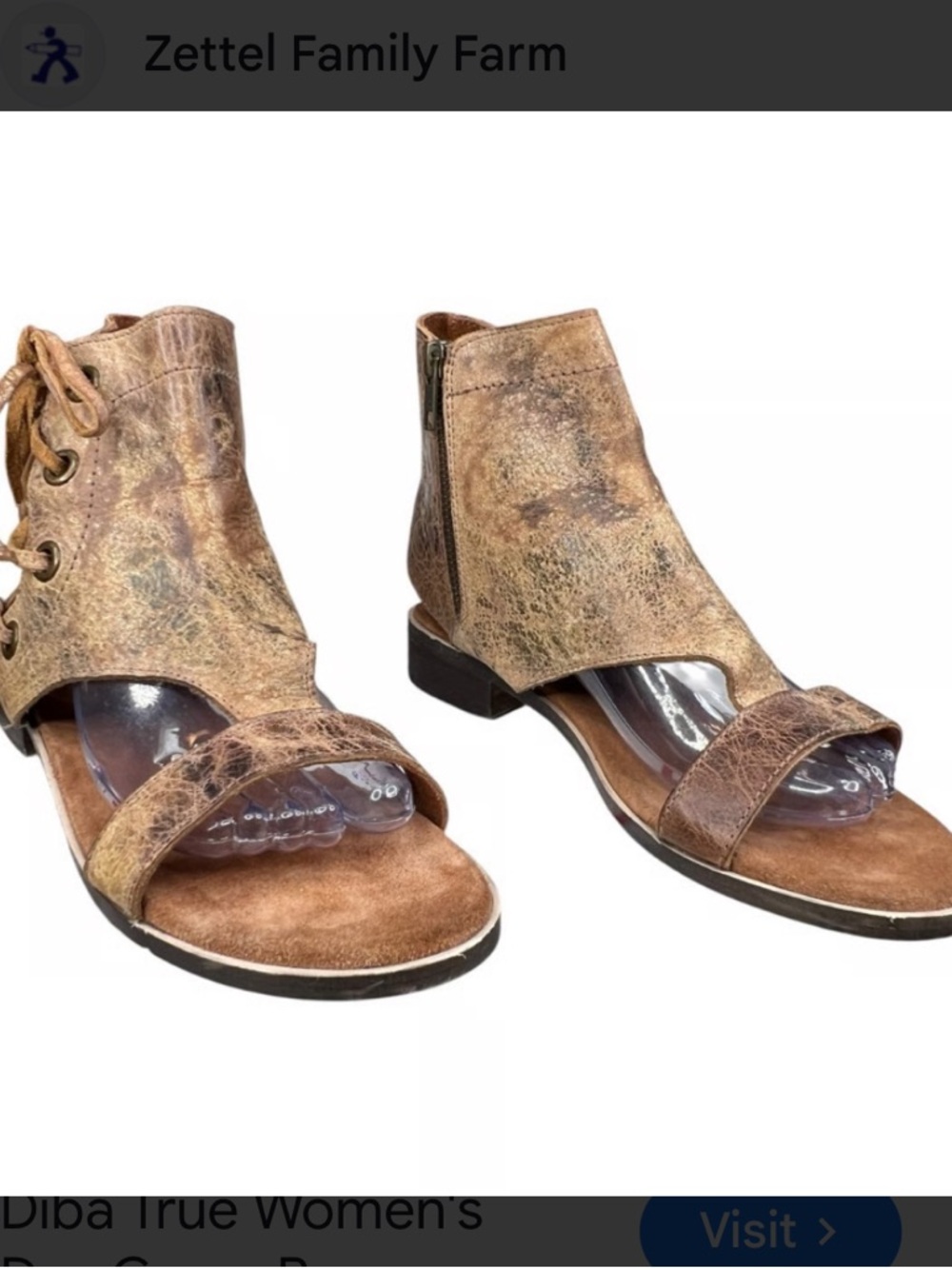 Day Camp Brown Distressed Leather Open-Toe Gladiator Sandal NWOT SIZE 9
